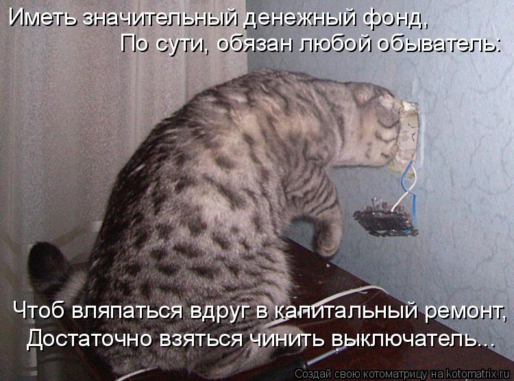 Котоматрица: Иметь значительный денежный фонд, По сути, обязан любой обыватель:  Чтоб вляпаться вдруг в капитальный ремонт, Достаточно взяться чинить вы