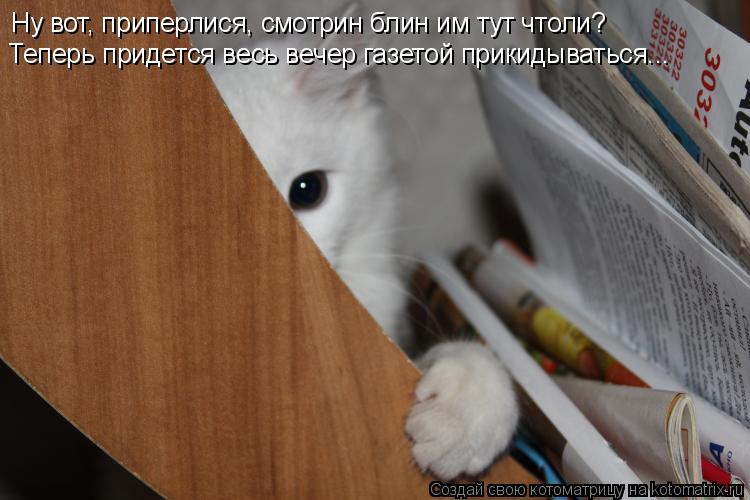 Котоматрица: Ну вот, приперлися, смотрин блин им тут чтоли? Теперь придется весь вечер газетой прикидываться...