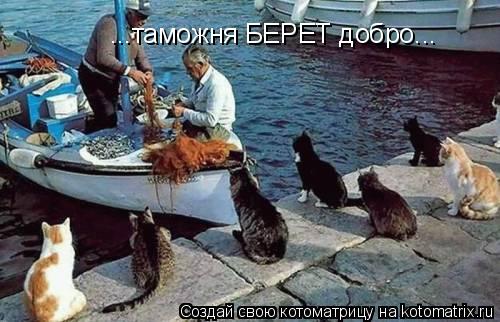 ...таможня БЕРЕТ добро...... Котоматрица: ...таможня БЕРЕТ добро...