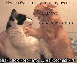 Котоматрица: Нет ты будешь слушать эту песню: -МАМО,  ты же мне сказала..