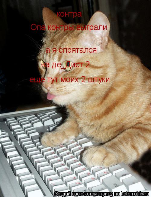Котоматрица: контра Опа контры выграли  а я спрятался  на де_Дист 2 еще тут моих 2 штуки