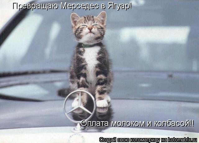 Котоматрица: Превращаю Мерседес в Ягуар!  Оплата молоком и колбасой!!