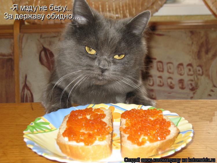 Котоматрица: -Я мзду не беру... За державу обидно...
