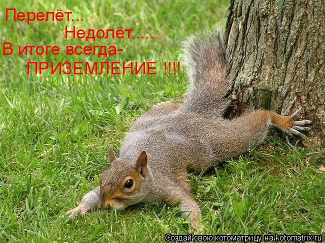 Перелёт... Недолёт..... В итоге всегда- ПРИЗЕМЛЕНИЕ !!!!... Котоматрица: Перелёт... Недолёт..... В итоге всегда- ПРИЗЕМЛЕНИЕ !!!!
