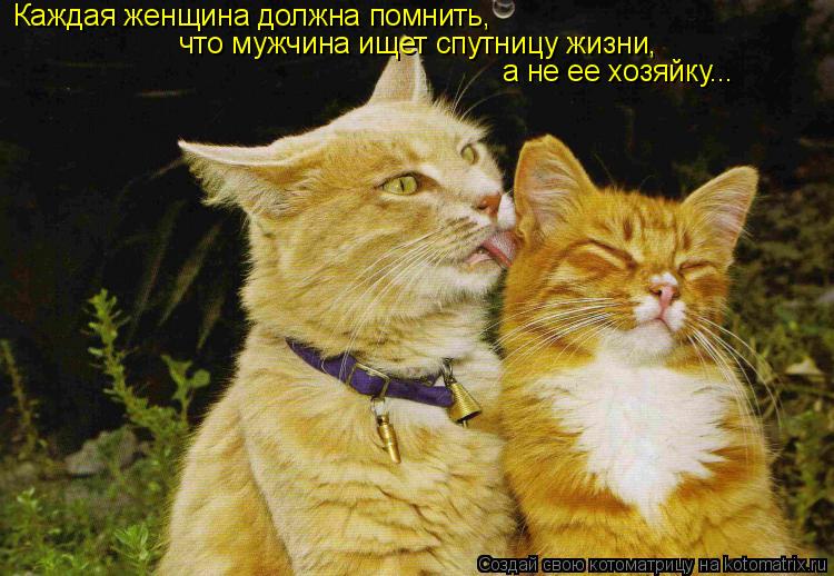 Каждая женщина должна помнить, что мужчина ищет спутницу жизни, а не ее хозяйку...... Котоматрица: Каждая женщина должна помнить, что мужчина ищет спутницу жизни, а не ее хозяйку...