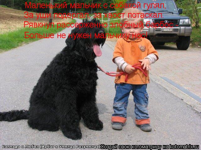 Котоматрица: Маленький мальчик с собакой гулял, За уши подергал, за хвост потаскал. Рявкнул рассерженно злобный барбос - Больше не нужен мальчику нос!