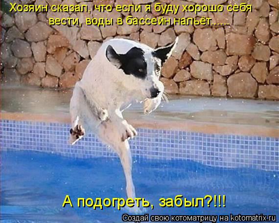 Котоматрица: Хозяин сказал, что если я буду хорошо себя вести, воды в бассейн нальёт...... А подогреть, забыл?!!!