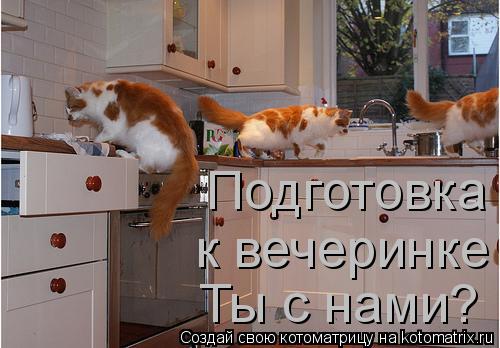 Котоматрица: Подготовка  Ты с нами? к вечеринке