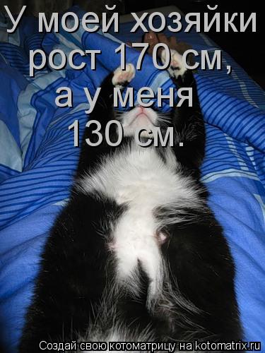 Котоматрица: У моей хозяйки рост 170 см,  а у меня 130 см.