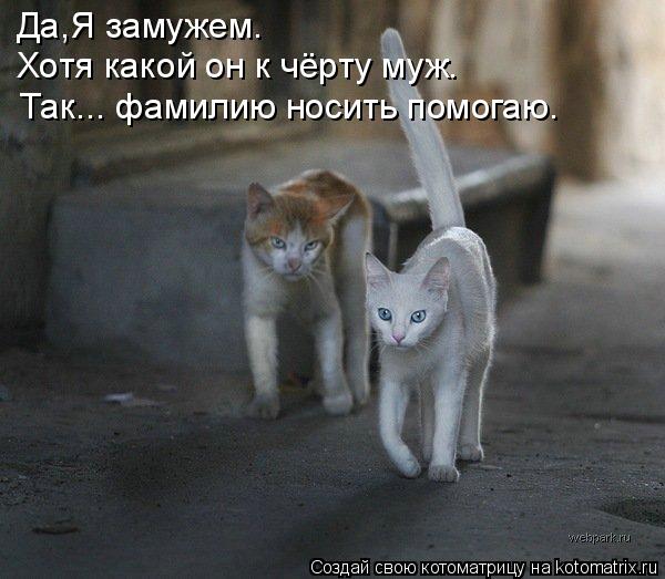 Да,Я замужем. Хотя какой он к чёрту муж. Так... фамилию носить помогаю.... Котоматрица: Да,Я замужем. Хотя какой он к чёрту муж. Так... фамилию носить помогаю.