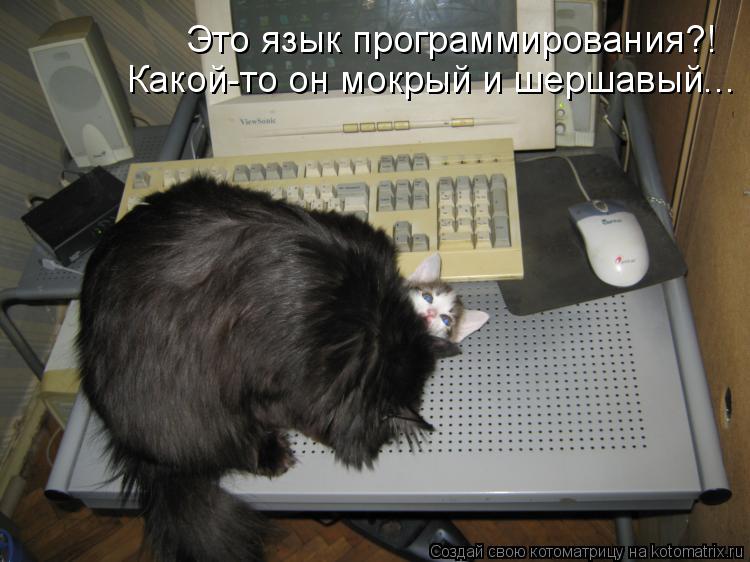 Это язык программирования?! Какой-то он мокрый и шершавый...... Котоматрица: Это язык программирования?! Какой-то он мокрый и шершавый...