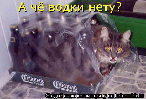 Котоматрица: А чё водки нету?