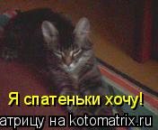Я спатеньки хочу!... Котоматрица: Я спатеньки хочу!