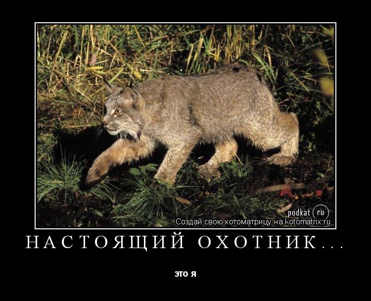Котоматрица: настоящий охотник... это я