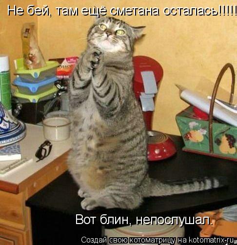 Не бей, там ещё сметана осталась!!!!! Вот блин, непослушал.... Котоматрица: Не бей, там ещё сметана осталась!!!!! Вот блин, непослушал.