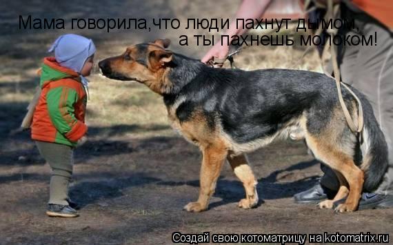 Котоматрица: Мама говорила,что люди пахнут дымом, а ты пахнешь молоком!