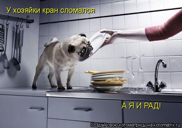 Котоматрица: У хозяйки кран сломался А Я И РАД!