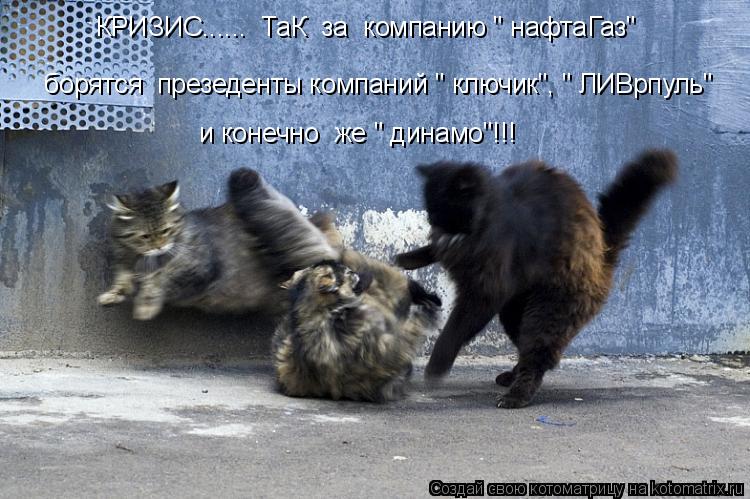 Котоматрица: КРИЗИС......  ТаК  за  компанию " нафтаГаз" борятся  презеденты компаний " ключик", " ЛИВрпуль" и конечно  же " динамо"!!!
