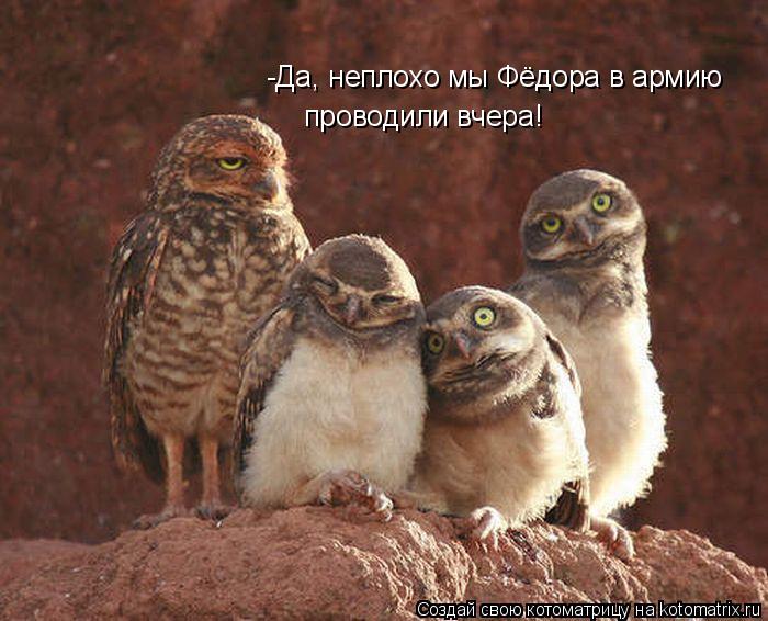 -Да, неплохо мы Фёдора в армию проводили вчера!... Котоматрица: -Да, неплохо мы Фёдора в армию проводили вчера!