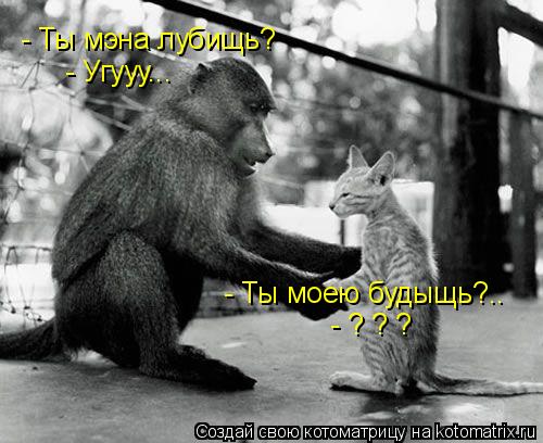 - Ты мэна лубищь? - Угууу... - Ты моею будыщь?.. - ? ? ?... Котоматрица: - Ты мэна лубищь? - Угууу... - Ты моею будыщь?.. - ? ? ?