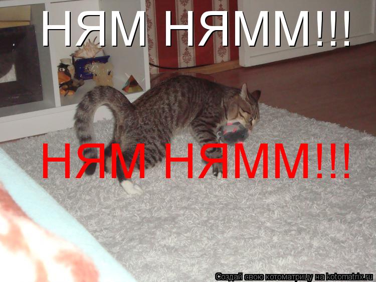 Котоматрица: НЯМ НЯММ!!! НЯМ НЯММ!!!