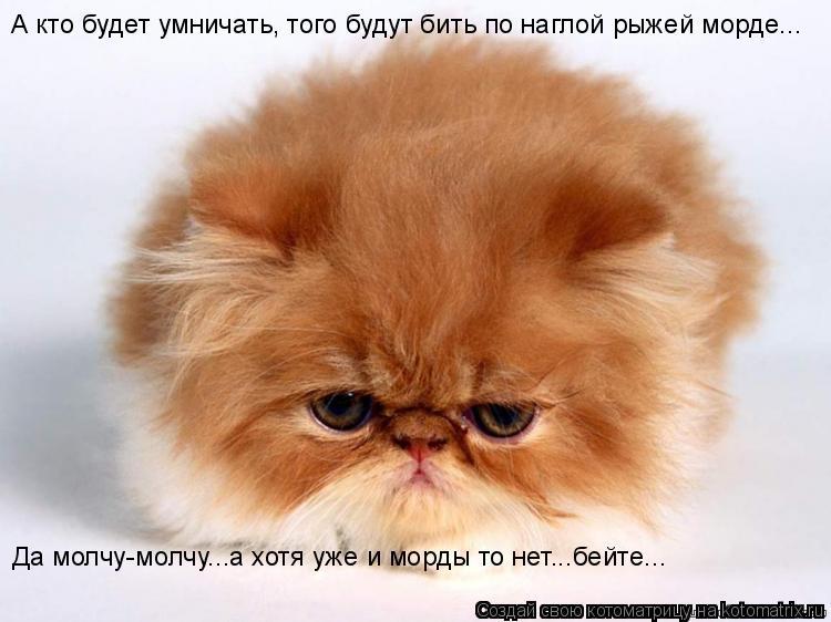 А кто будет умничать, того будут бить по наглой рыжей морде... Да молчу-молчу...а хотя уже и морды то... Котоматрица: А кто будет умничать, того будут бить по наглой рыжей морде... Да молчу-молчу...а хотя уже и морды то нет...бейте...