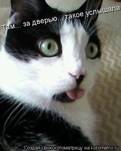Там... за дверью... такое услышала сейчас...... Котоматрица: Там... за дверью... такое услышала сейчас...