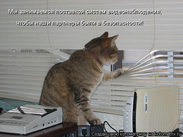 Мы занимаемся поставкой систем видеонаблюдения, чтобы наши партнеры были в безопасности! чтобы наши п... Котоматрица: Мы занимаемся поставкой систем видеонаблюдения, чтобы наши партнеры были в безопасности! чтобы наши партнеры были в безопасности!