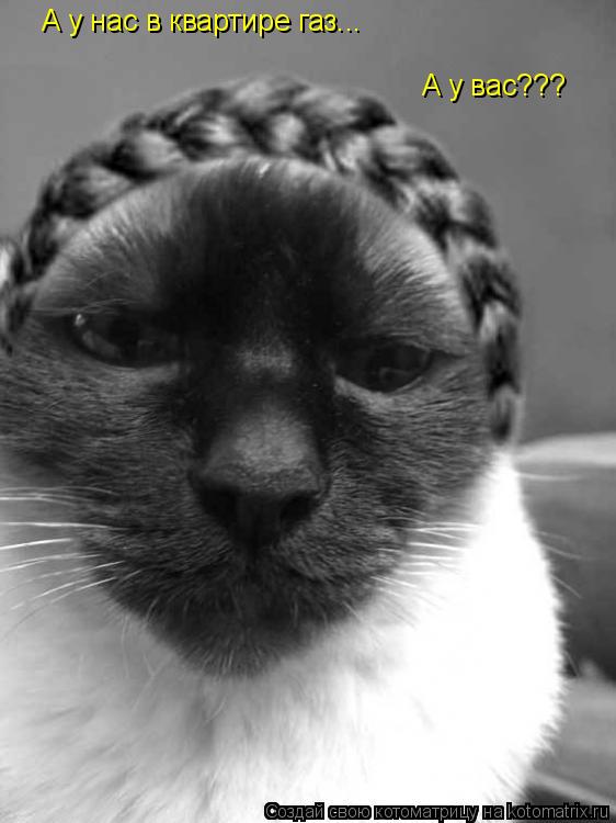 Котоматрица: А у нас в квартире газ... А у вас???