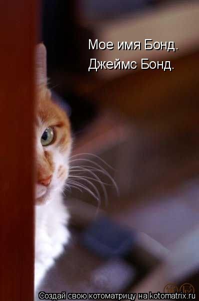 Котоматрица: Мое имя Бонд. Джеймс Бонд.