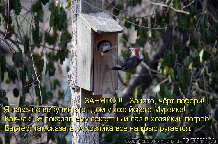 ЗАНЯТО!!! Занято, чёрт побери!!! Я навечно выкупил этот дом у хозяйского Мурзика! Как-как...Я показ... Котоматрица: ЗАНЯТО!!! Занято, чёрт побери!!! Я навечно выкупил этот дом у хозяйского Мурзика! Как-как...Я показал ему секретный лаз в хозяйкин погреб. Бар