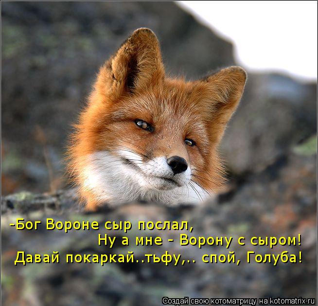 -Бог Вороне сыр послал, Ну а мне - Ворону с сыром! Давай покаркай..тьфу,.. спой, Голуба!... Котоматрица: -Бог Вороне сыр послал, Ну а мне - Ворону с сыром! Давай покаркай..тьфу,.. спой, Голуба!