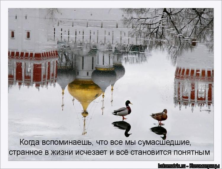 Когда вспоминаешь, что все мы сумасшедшие, странное в жизни исчезает и всё становится понятным... Котоматрица: Когда вспоминаешь, что все мы сумасшедшие, странное в жизни исчезает и всё становится понятным