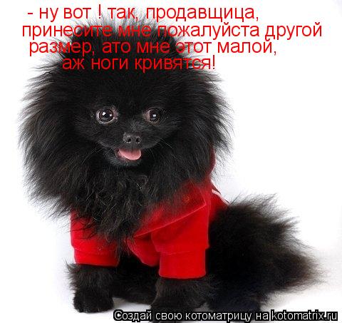Котоматрица: - ну вот ! так, продавщица,  принесите мне пожалуйста другой  размер, ато мне этот малой, аж ноги кривятся!