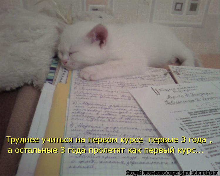 Котоматрица: Труднее учиться на первом курсе  первые 3 года , а остальные 3 года пролетят как первый курс...