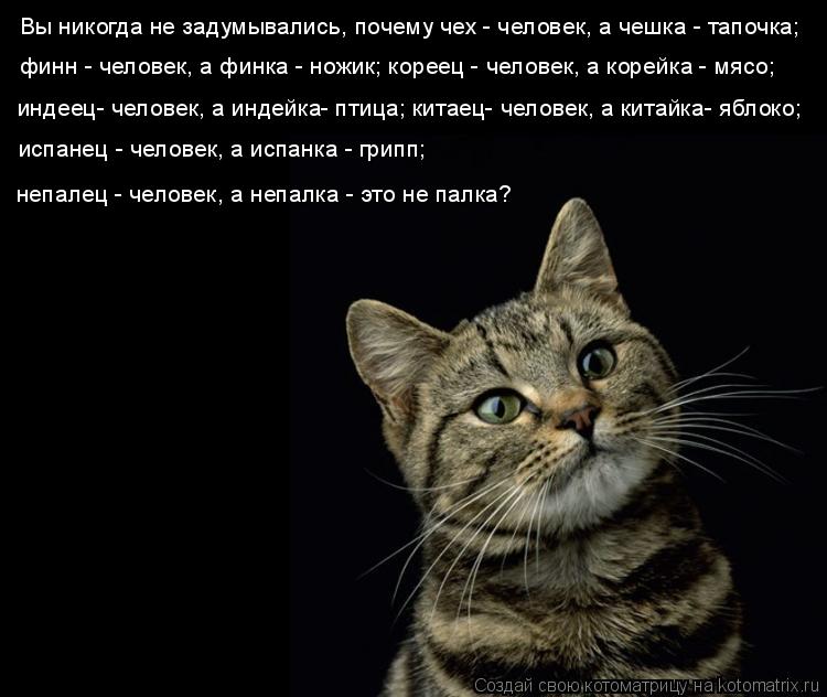 Котоматрица: Вы никогда не задумывались, почему чех - человек, а чешка - тапочка;  финн - человек, а финка - ножик; кореец - человек, а корейка - мясо; индеец- ч