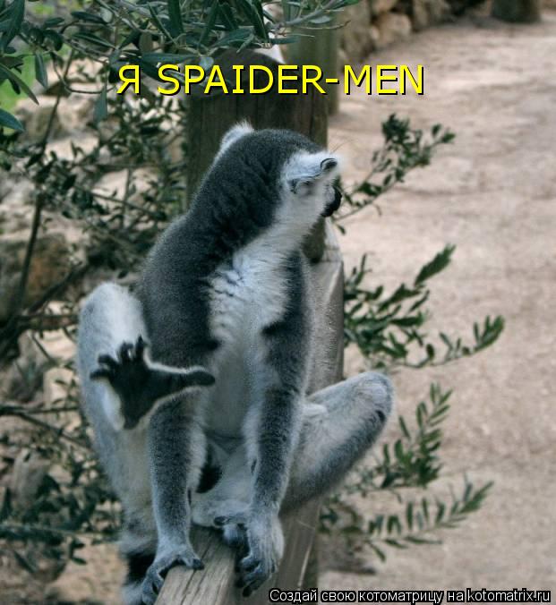 Котоматрица: Я SPAIDER-MEN