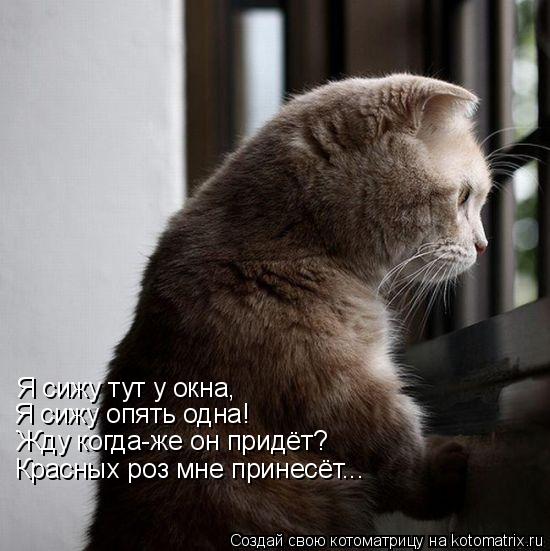 Я сижу тут у окна, Я сижу опять одна! Жду когда-же он придёт? Красных роз мне принесёт...... Котоматрица: Я сижу тут у окна, Я сижу опять одна! Жду когда-же он придёт? Красных роз мне принесёт...
