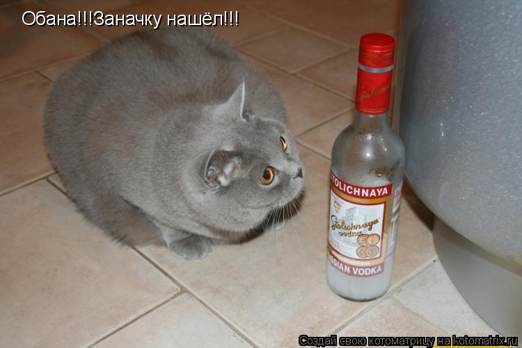 Котоматрица: Обана!!!Заначку нашёл!!!