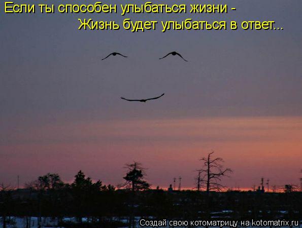 Если ты способен улыбаться жизни - Жизнь будет улыбаться в ответ...... Котоматрица: Если ты способен улыбаться жизни - Жизнь будет улыбаться в ответ...