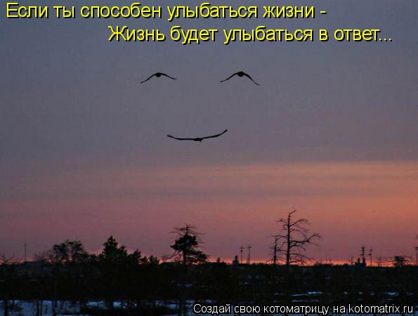 Котоматрица: Если ты способен улыбаться жизни - Жизнь будет улыбаться в ответ...