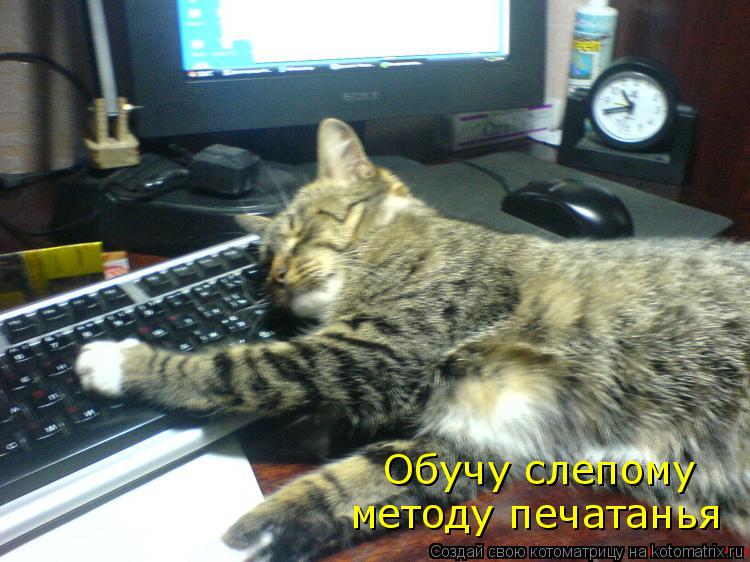 Котоматрица: Обучу слепому  методу печатанья