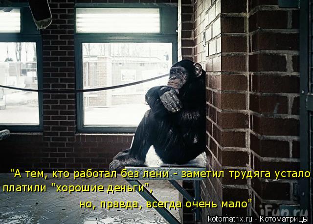 "А тем, кто работал без лени - заметил трудяга устало платили "хорошие деньги", но, правда, всегда оч... Котоматрица: "А тем, кто работал без лени - заметил трудяга устало платили "хорошие деньги", но, правда, всегда очень мало"