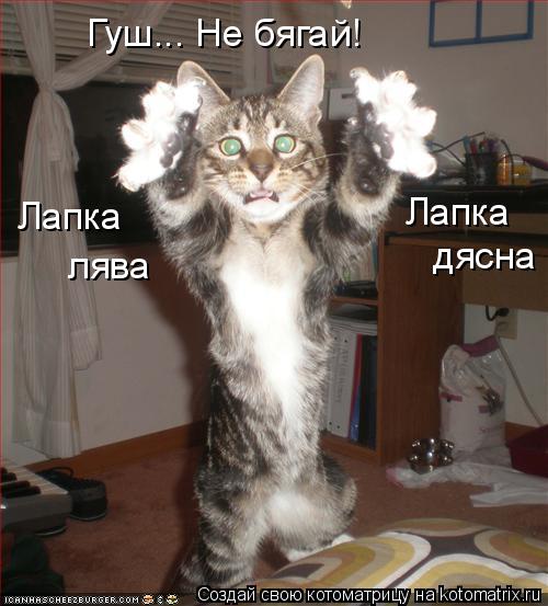 Котоматрица: Гуш... Не бягай! Лапка Лапка лява дясна