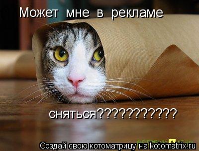 Котоматрица: Может  мне  в  рекламе   сняться???????????