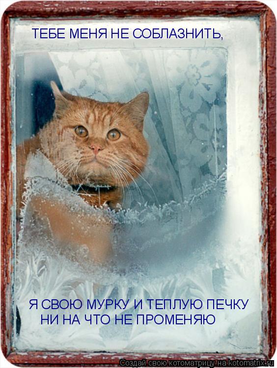 ТЕБЕ МЕНЯ НЕ СОБЛАЗНИТЬ, Я СВОЮ МУРКУ И ТЕПЛУЮ ПЕЧКУ НИ НА ЧТО НЕ ПРОМЕНЯЮ... Котоматрица: ТЕБЕ МЕНЯ НЕ СОБЛАЗНИТЬ, Я СВОЮ МУРКУ И ТЕПЛУЮ ПЕЧКУ НИ НА ЧТО НЕ ПРОМЕНЯЮ