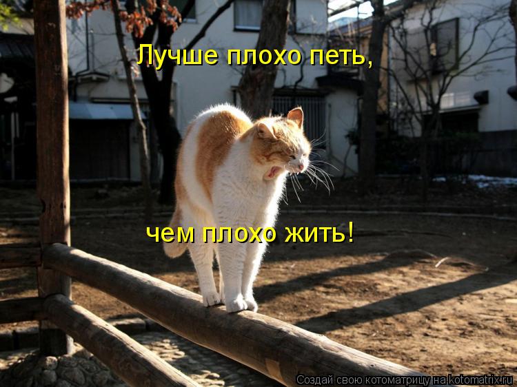 Котоматрица: Лучше плохо петь, чем плохо жить!