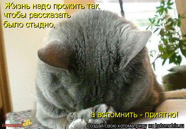 Жизнь надо прожить так, чтобы рассказать было стыдно, а вспомнить - приятно!... Котоматрица: Жизнь надо прожить так, чтобы рассказать было стыдно, а вспомнить - приятно!