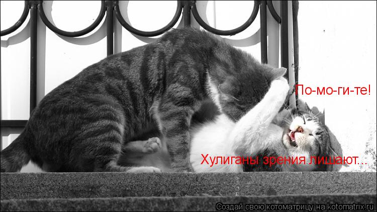 По-мо-ги-те! Хулиганы зрения лишают...... Котоматрица: По-мо-ги-те! Хулиганы зрения лишают...