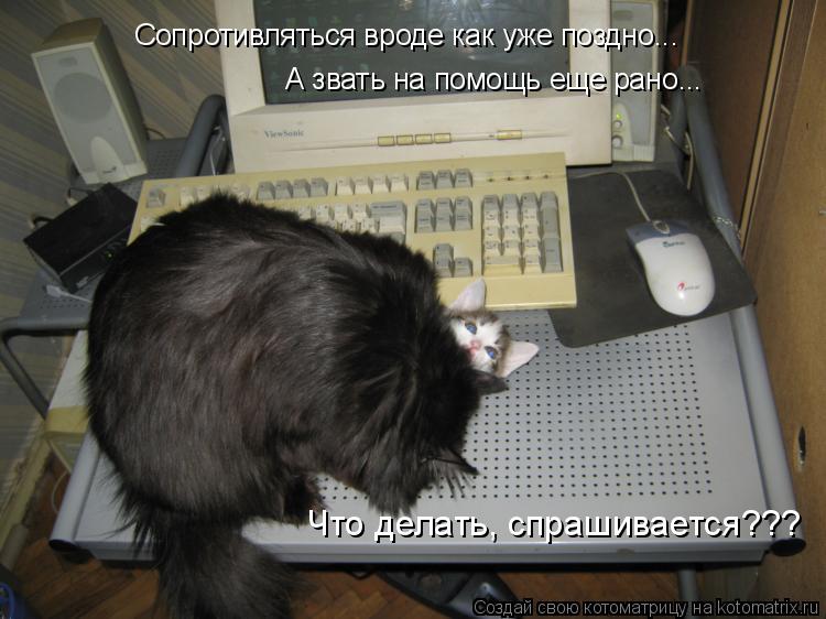 Котоматрица: Сопротивляться вроде как уже поздно... А звать на помощь еще рано... Что делать, спрашивается???